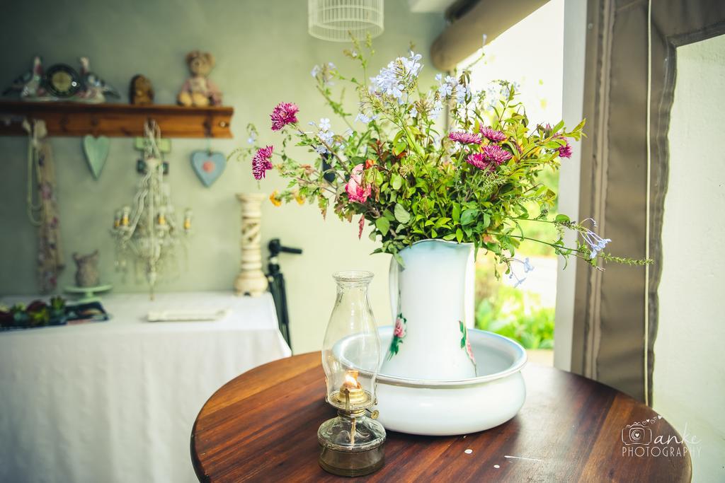 Oue Werf Country House Oudtshoorn Eksteriør billede
