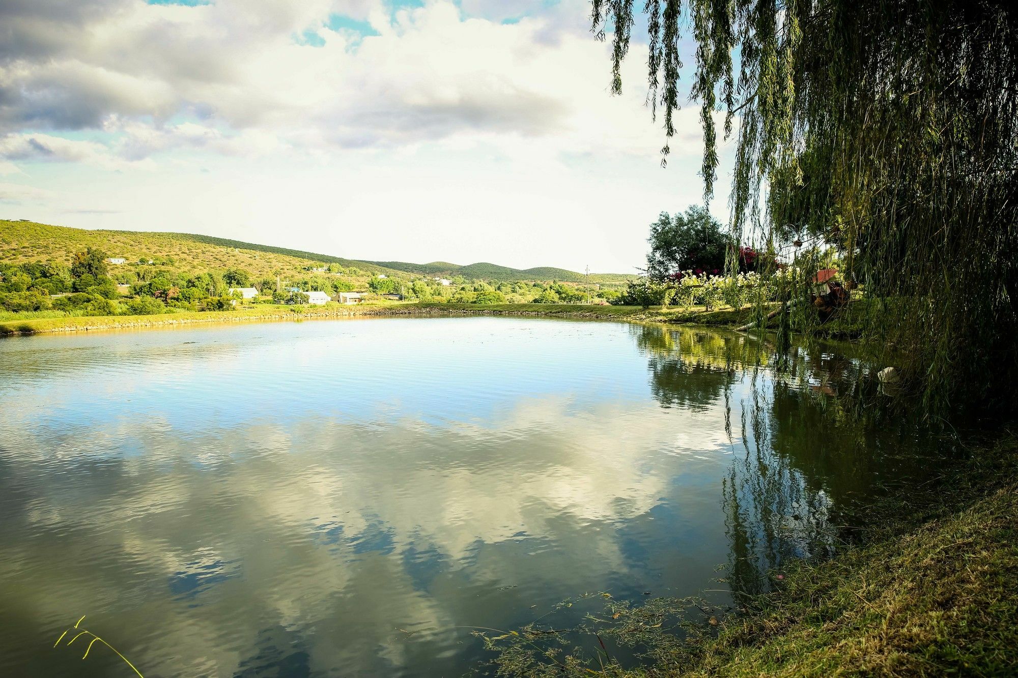 Oue Werf Country House Oudtshoorn Eksteriør billede